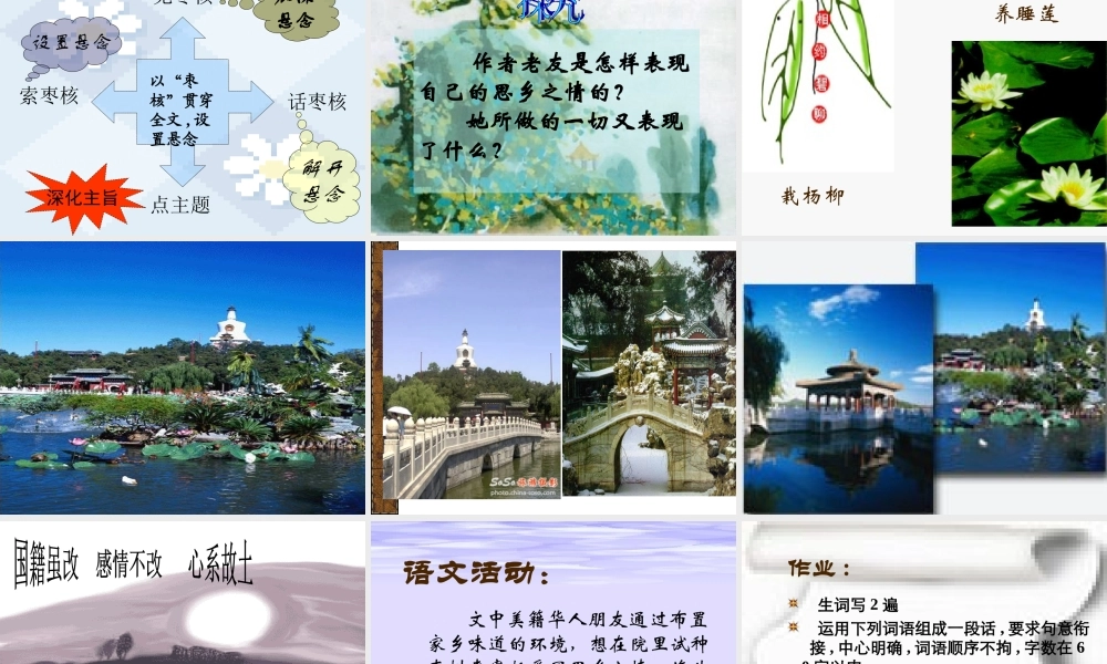 八年级语文枣核课件 苏教版 课件