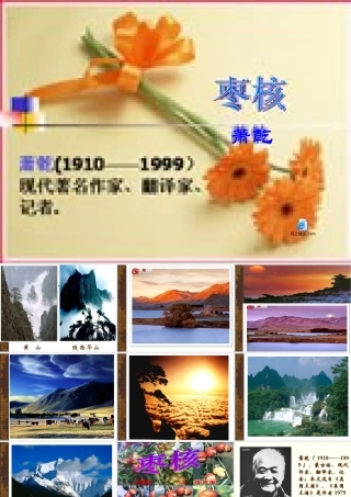 八年级语文枣核课件 苏教版 课件