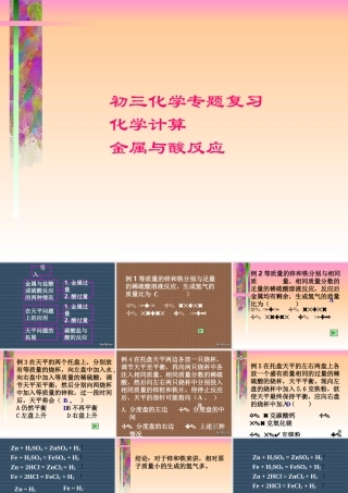 初三化学专题复习 化学计算 金属与酸反应 课件