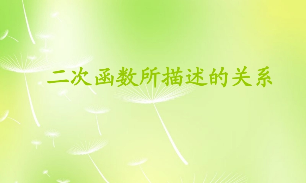 九年级数学上册 21 二次函数所描述的关系课件 北师大版 课件