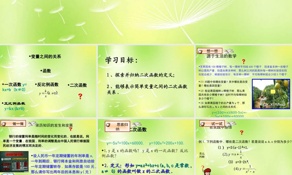 九年级数学上册 21 二次函数所描述的关系课件 北师大版 课件