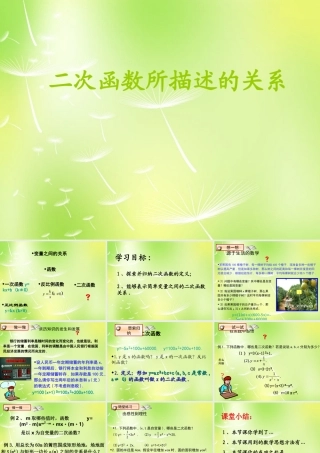 九年级数学上册 21 二次函数所描述的关系课件 北师大版 课件