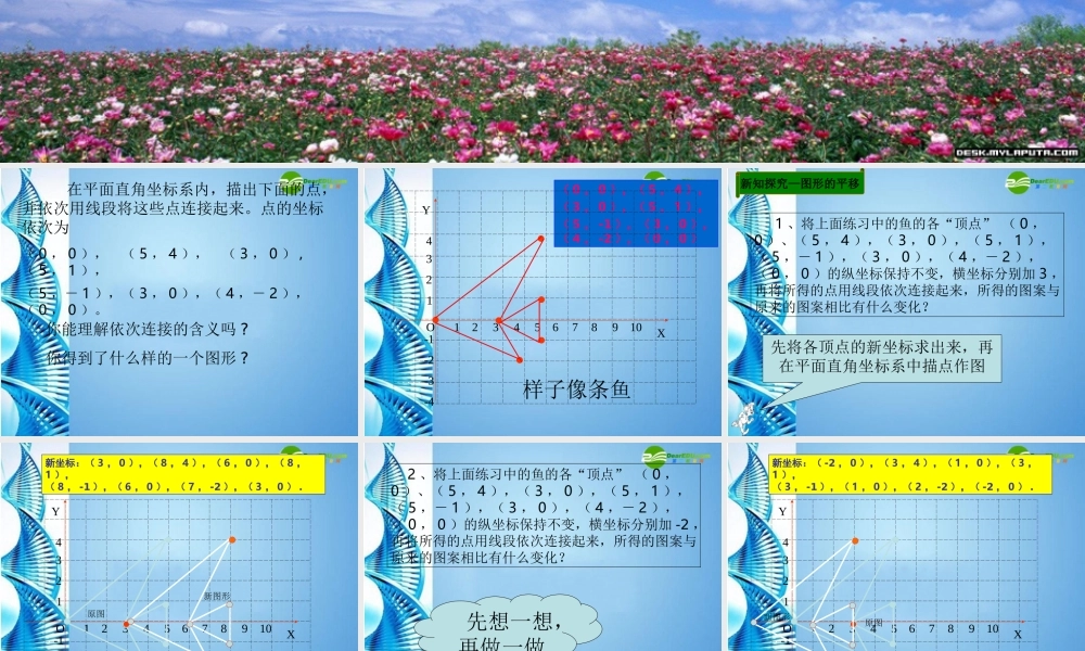 八年级数学上册 5.3(变化的鱼)课件 北师大版 课件
