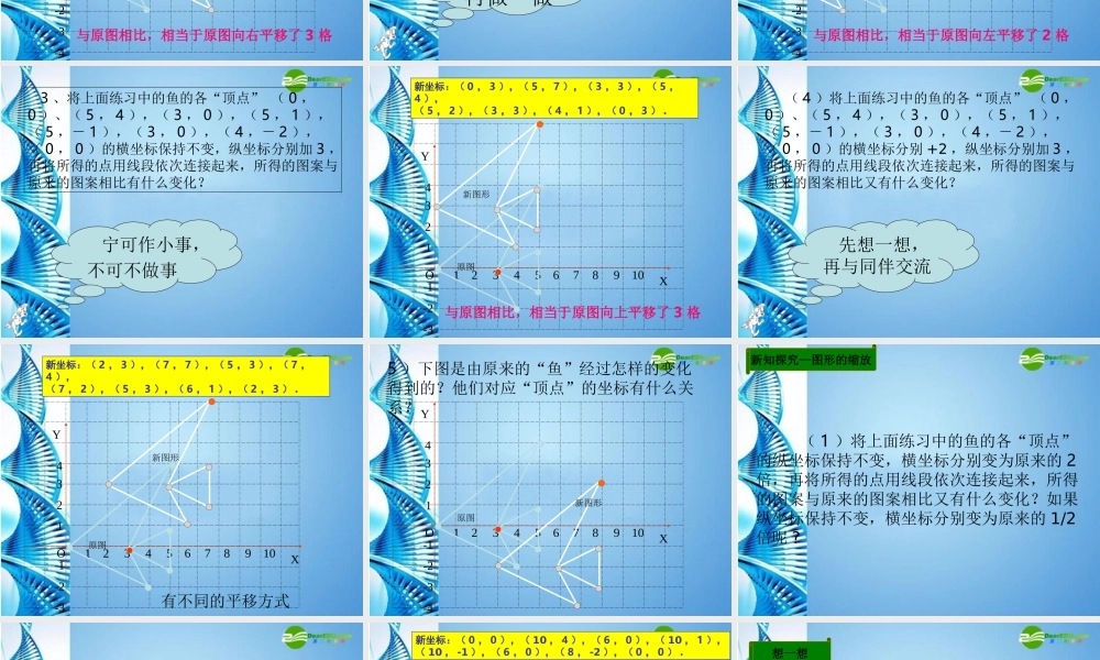 八年级数学上册 5.3(变化的鱼)课件 北师大版 课件