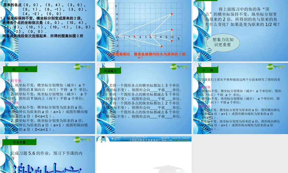 八年级数学上册 5.3(变化的鱼)课件 北师大版 课件