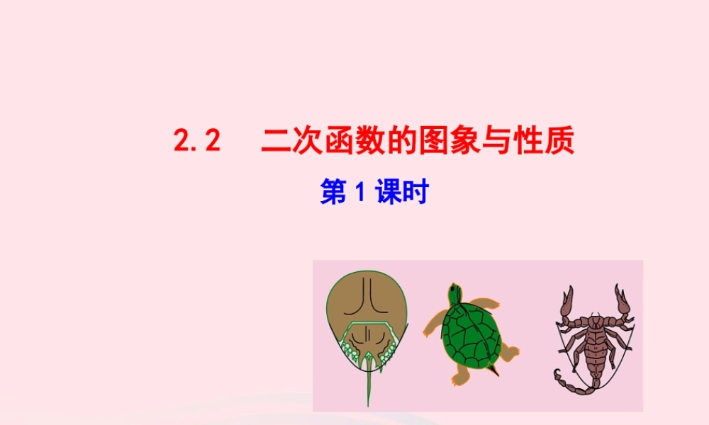 九年级数学下册 第2章二次函数 22 二次函数的图象与性质第1课时教学课件 湘教版 课件