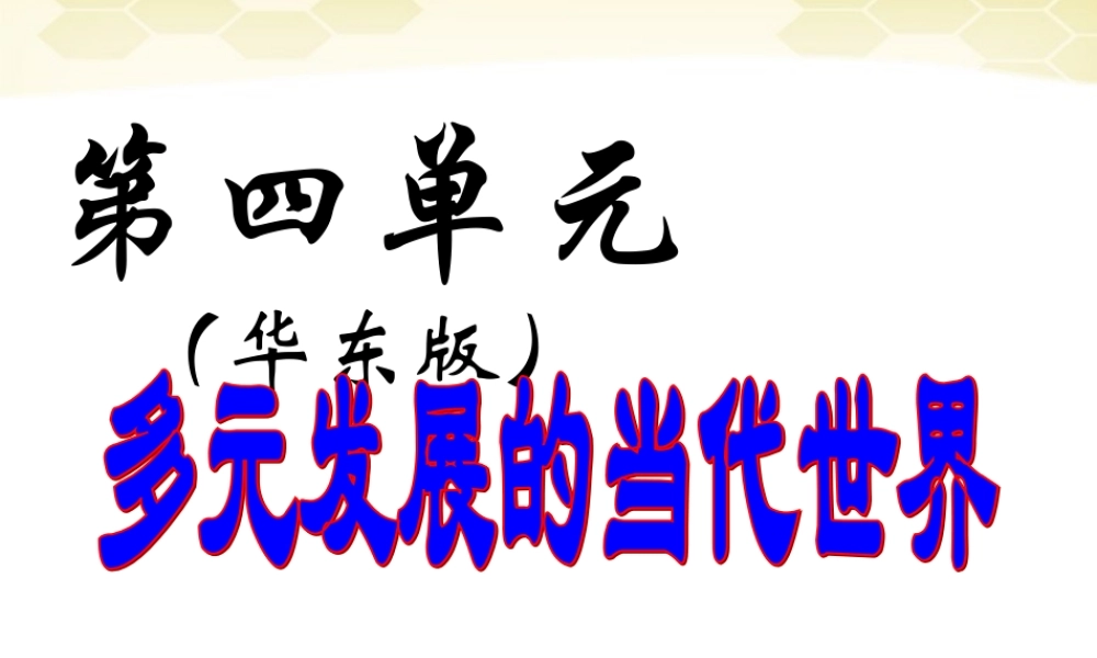 九年级历史下册 第四单元(多元发展的当代世界)复习课件 华东师大版 课件