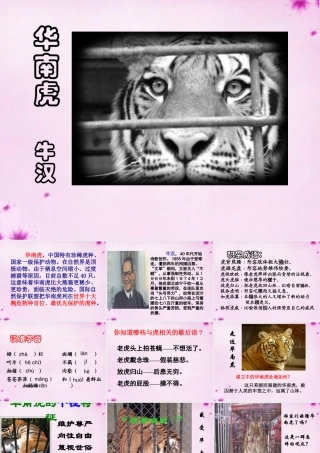七年级语文下册 第28课(华南虎)课件 新人教版 课件