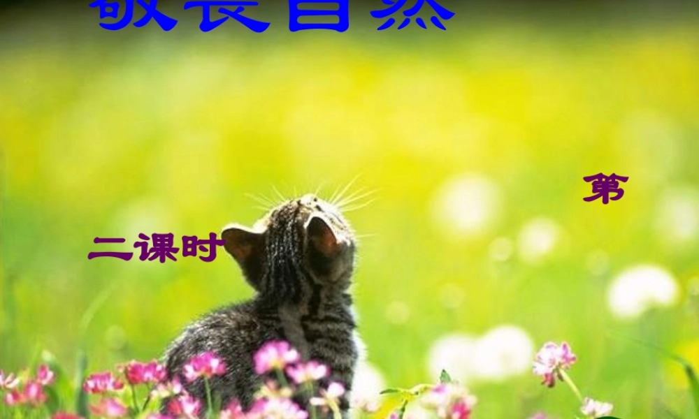 八年级语文下册 11 敬畏自然课件2 新人教版 学案