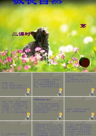 八年级语文下册 11 敬畏自然课件2 新人教版 学案