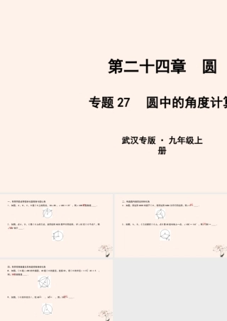 九年级数学上册 第二十四章 圆 专题27 圆中的角度计算课件 (新版)新人教版 课件