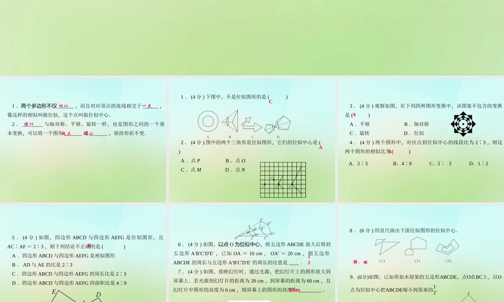 九年级数学上册 235 位似图形习题课件 (新版)华东师大版 课件