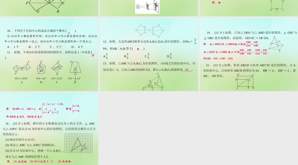 九年级数学上册 235 位似图形习题课件 (新版)华东师大版 课件