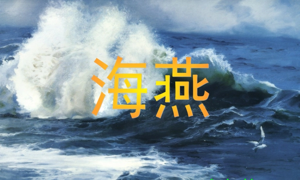 八年级语文上册 第六单元 (观潮)课件 人教新课标版 课件