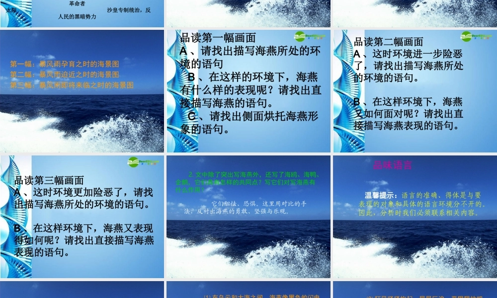 八年级语文上册 第六单元 (观潮)课件 人教新课标版 课件