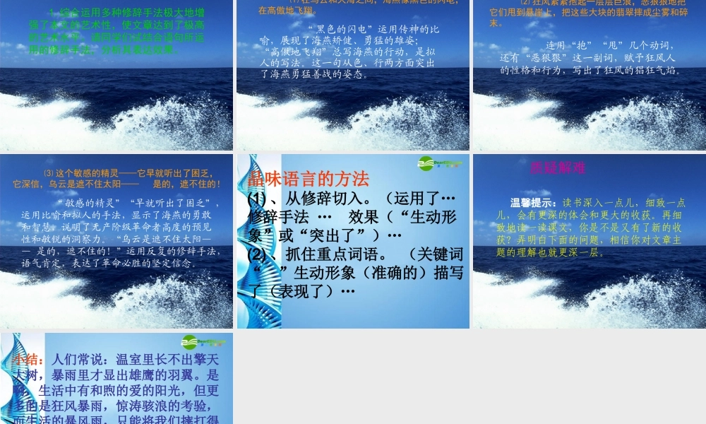 八年级语文上册 第六单元 (观潮)课件 人教新课标版 课件