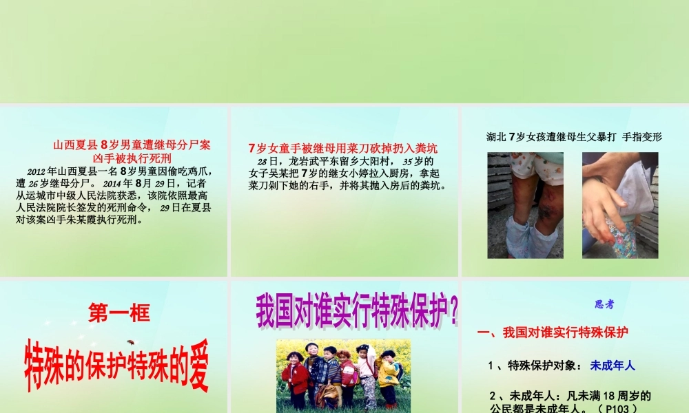 中学七年级政治下册 8.1 特殊保护特殊的爱课件 新人教版 课件