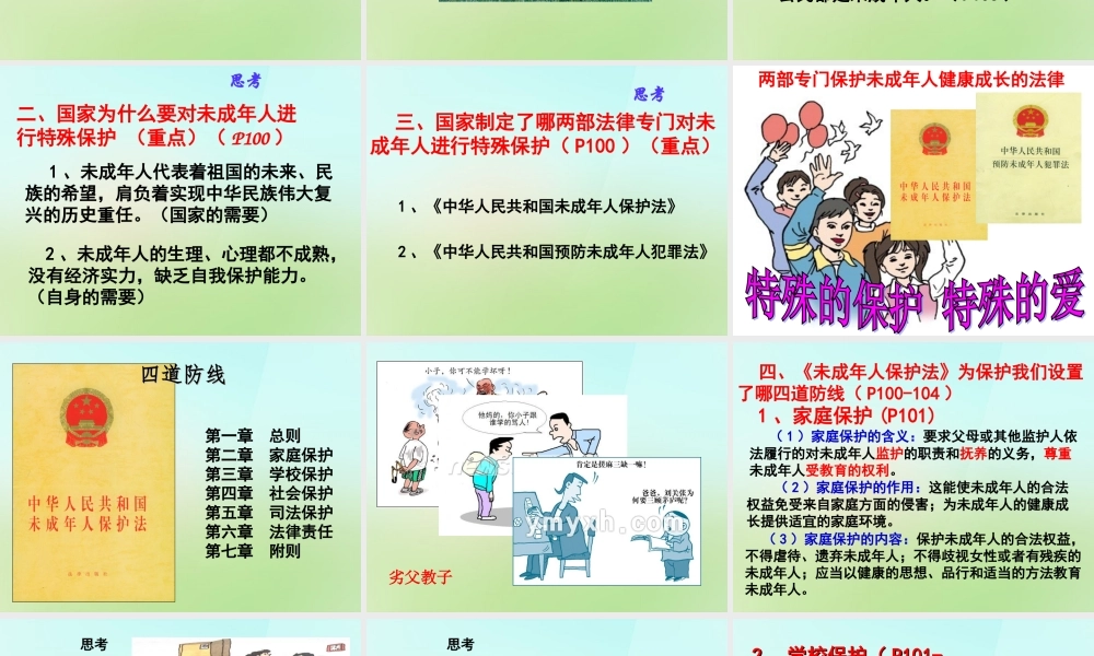 中学七年级政治下册 8.1 特殊保护特殊的爱课件 新人教版 课件