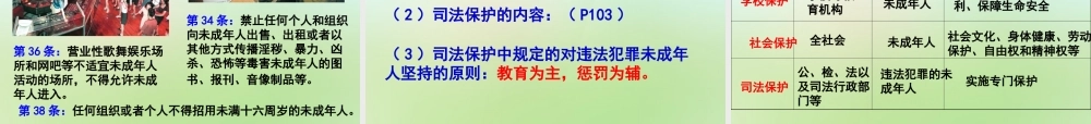 中学七年级政治下册 8.1 特殊保护特殊的爱课件 新人教版 课件