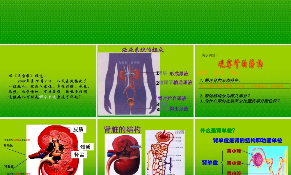 九年级科学上册 第四章第五节体内物质动态平衡课件 浙教版 课件