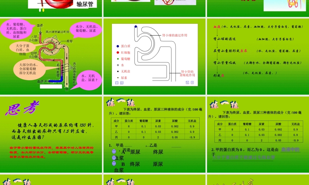 九年级科学上册 第四章第五节体内物质动态平衡课件 浙教版 课件