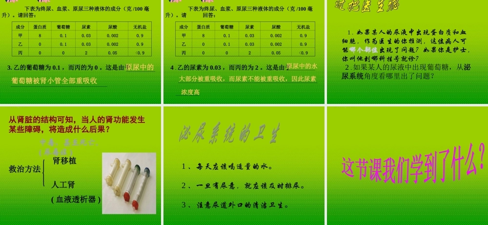 九年级科学上册 第四章第五节体内物质动态平衡课件 浙教版 课件