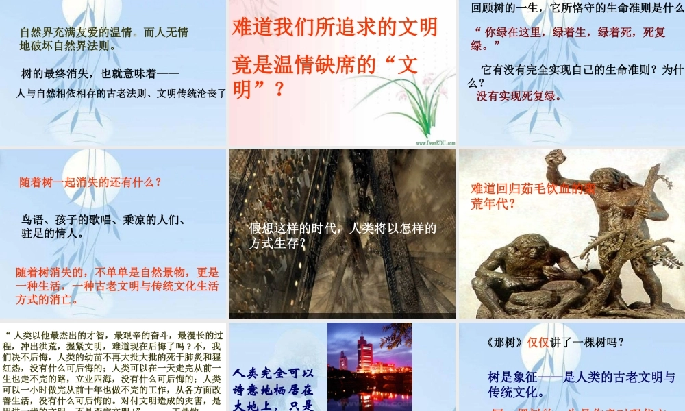 九年级语文那树课件示例 课件