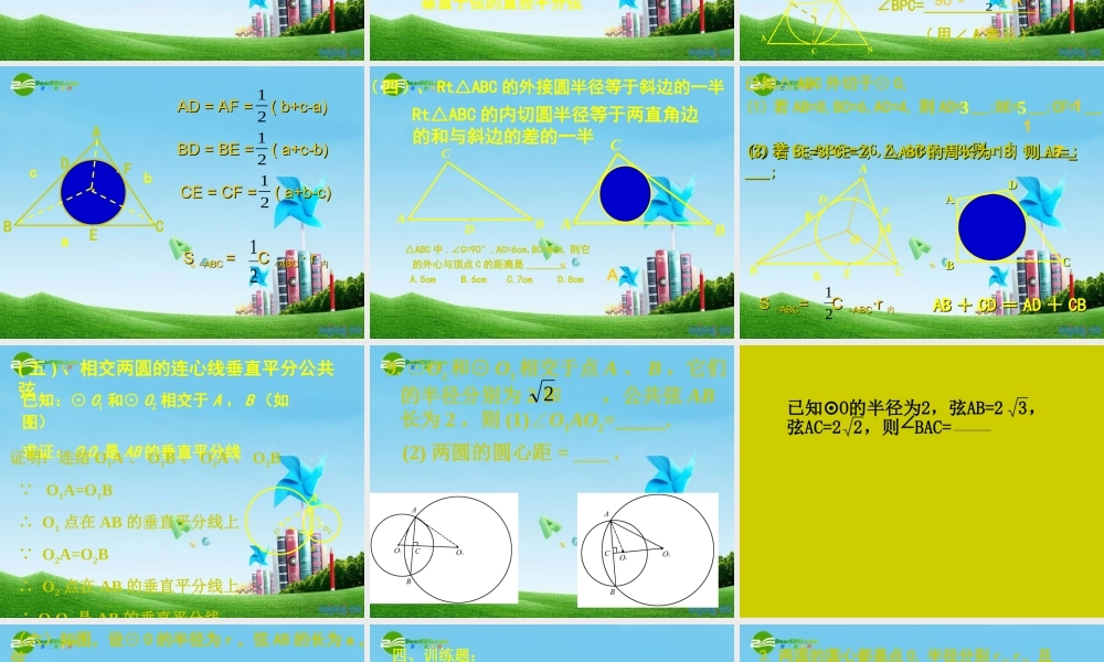 九年级数学上册 圆的复习(两课时)课件 人教新课标版 课件