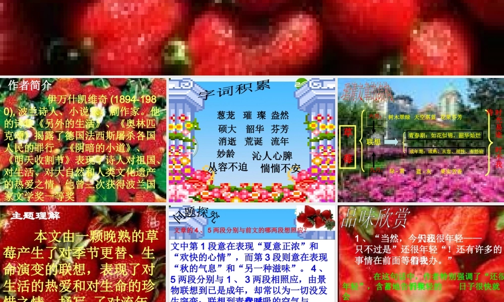 九年级语文上册 第4课(草莓)素材课件 语文版 课件-2