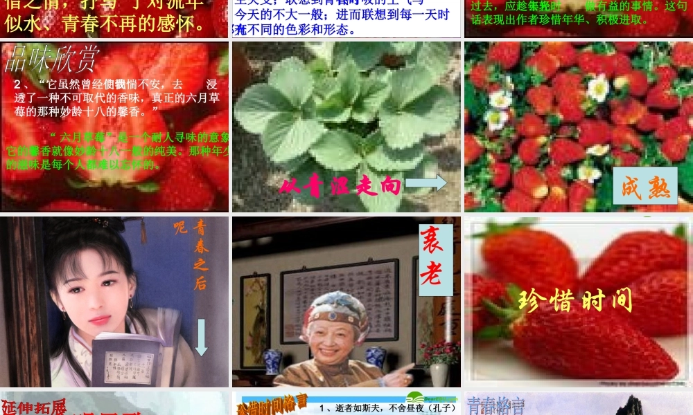 九年级语文上册 第4课(草莓)素材课件 语文版 课件-2