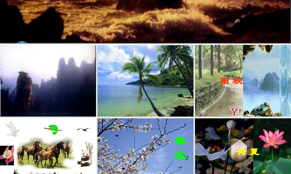 八年级语文下册(敬畏自然)04 ppt 课件