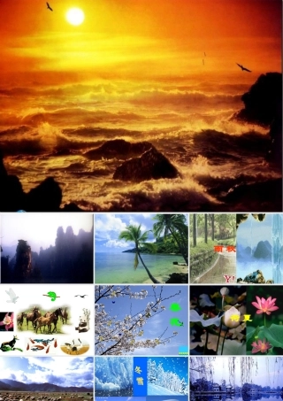 八年级语文下册(敬畏自然)04 ppt 课件