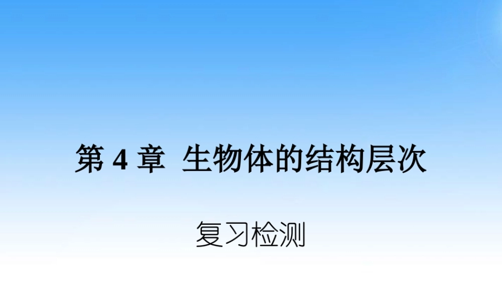 七年级生物上册 第四章生物体的结构层次复习课件 北师大版 课件