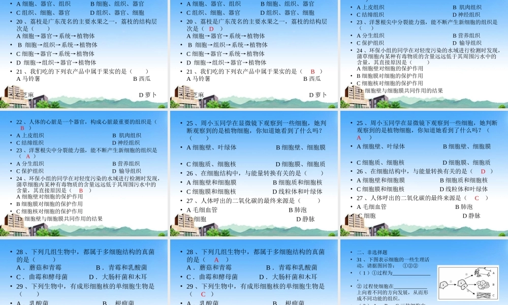 七年级生物上册 第四章生物体的结构层次复习课件 北师大版 课件