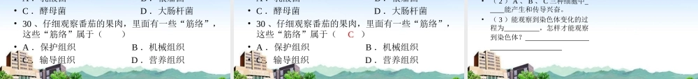 七年级生物上册 第四章生物体的结构层次复习课件 北师大版 课件