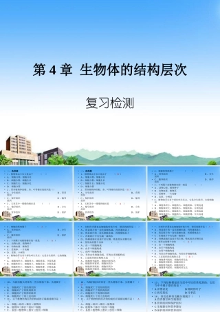 七年级生物上册 第四章生物体的结构层次复习课件 北师大版 课件