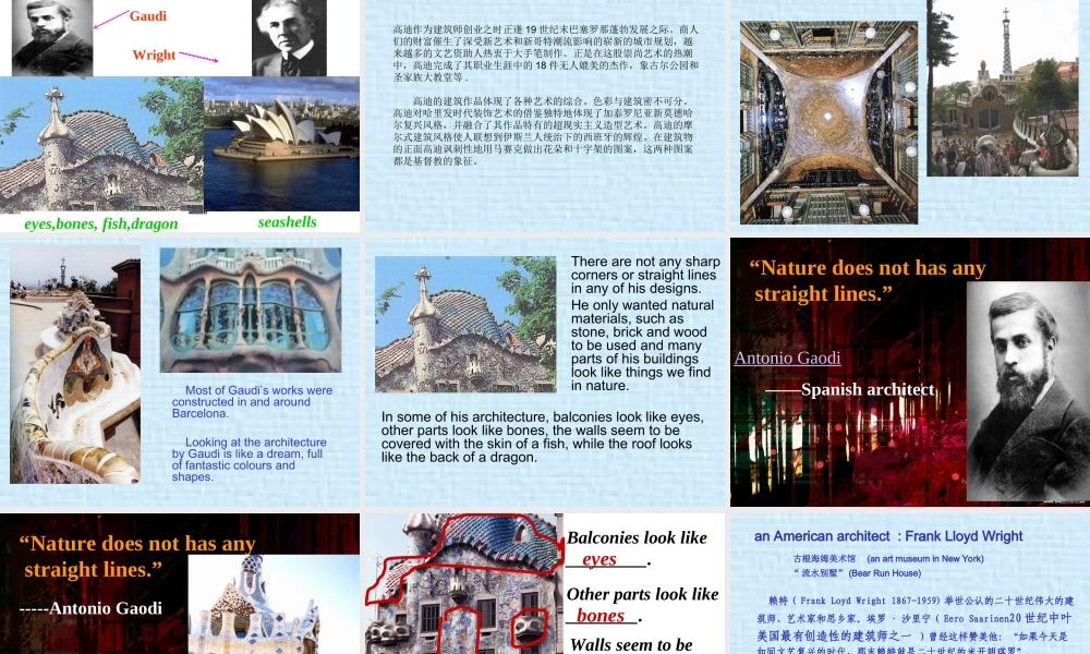 人教新课标英语选修6 Unit3 Reading部分的阅读课件 上学期 课件