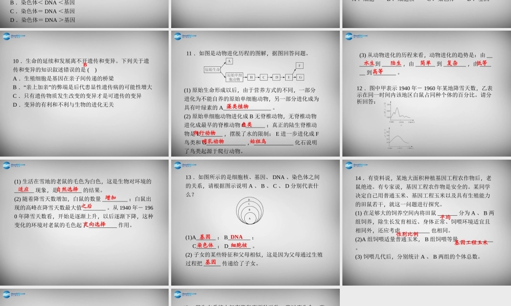 九年级科学下册 14-15周周清课件 浙教版 课件