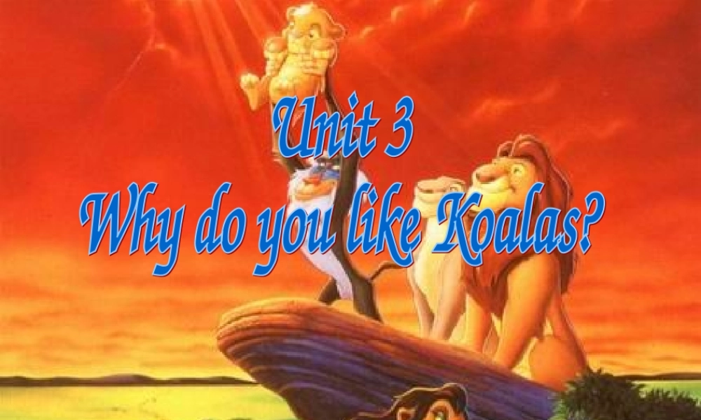七年级英语Unit3 Why do you like koalas课件