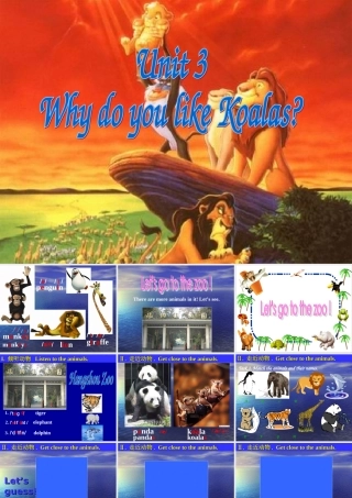 七年级英语Unit3 Why do you like koalas课件