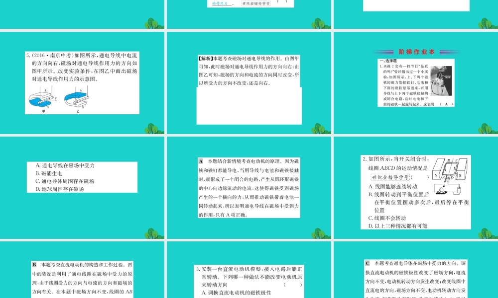 九年级物理全册 173 科学探究：电动机为什么会转动习题课件 (新版)沪科版 课件