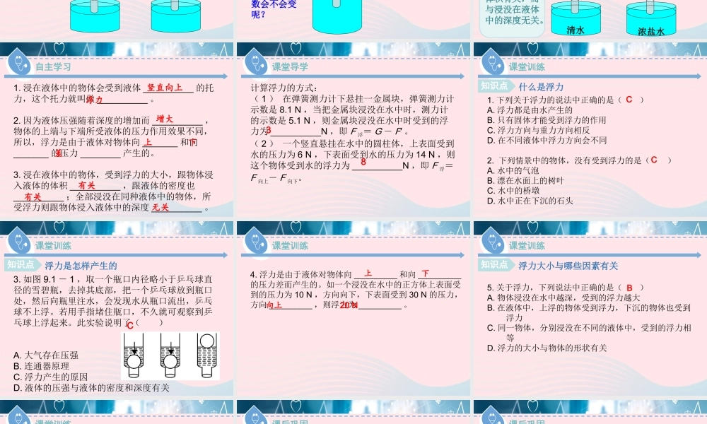 八年级物理下册 9.1 认识浮力课件 (新版)粤教沪版 课件