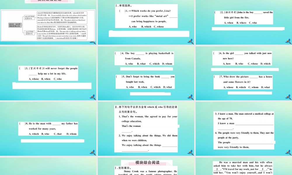九年级英语上册 Module 11 Photos Unit 3 Language in use习题课件 (新版)外研版 课件