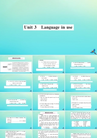 九年级英语上册 Module 11 Photos Unit 3 Language in use习题课件 (新版)外研版 课件