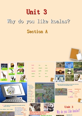 七年级英语下册 Unit3 Whydoyoulikekoalas 人教新目标版 试题