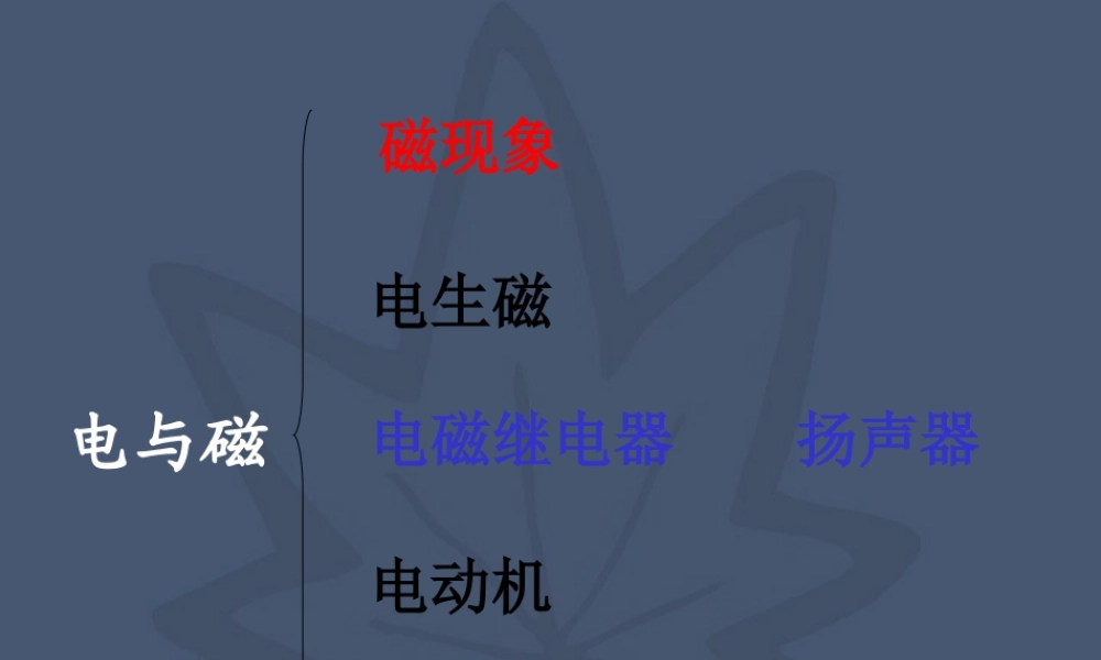 广东地区初三物理课电和磁 新课标 课件