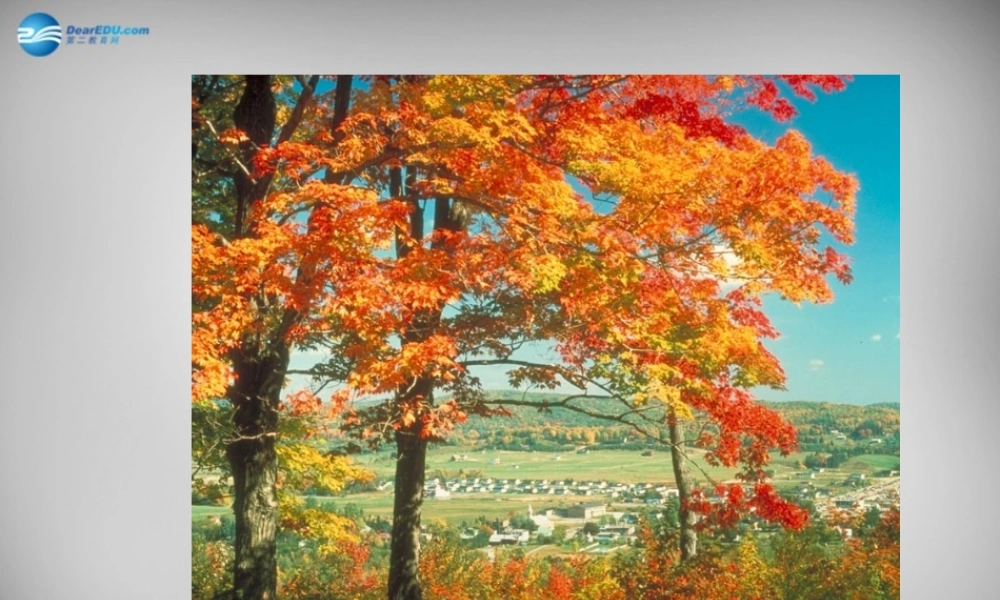 八年级物理上册 3.1 温度课件3 (新版)新人教版 课件