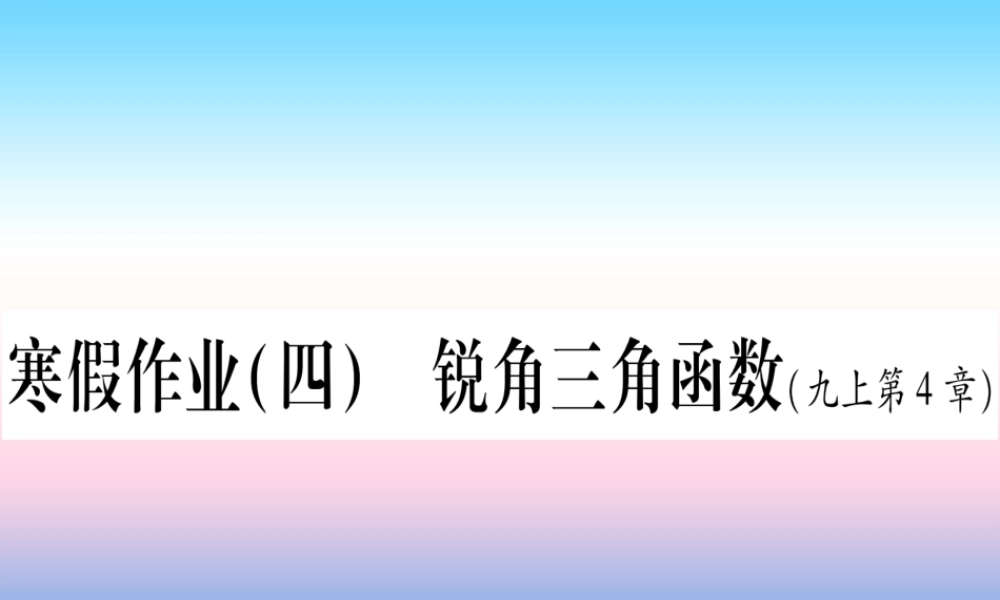 九年级数学下册 寒假作业(四)锐角三角函数作业课件 (新版)湘教版 课件
