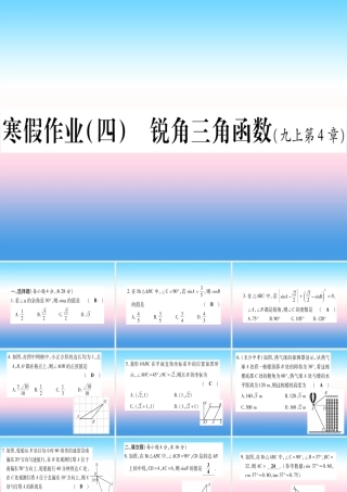 九年级数学下册 寒假作业(四)锐角三角函数作业课件 (新版)湘教版 课件