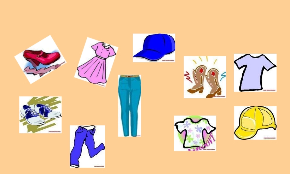 七年级英语上册 unit6 checkout课件 牛津译林版 课件